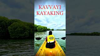 കണ്ടൽക്കാടുകൾക്കിടയിലൂടെ kayaking | kavvayi kayaking | payyanur | Kannur | #shorts #keralatourism