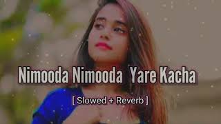Nimooda Nimooda Lofi Lyrics  Song | Hum Dil De Chuke Sanam | Ajay Devgan | Slowed and Reverb 🎵