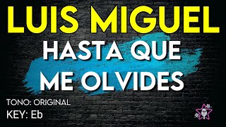 Luis Miguel - Hasta Que Me Olvides - Karaoke Instrumental