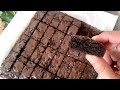 Resep dan Cara Buat Brownies Biar Muncul Shiny Crust | Fudgy Brownies