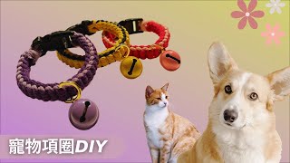 新手也可快速完成的寵物項圈DIY Macrame Cats / Dogs Collar