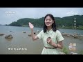 《走遍中国》 20240220 小城大美——武平|CCTV中文