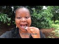 the venda tribe of south africa learn tshivenda south african youtuber