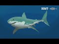 let s play ps5 the shark t all trophies guide