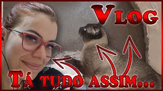 O QUE VOCÊS NEM IMAGINAM - VLOG TERAPIA