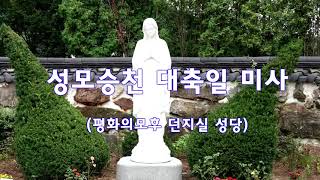 2020.08.15 성모승천대축일 야외 미사 : 이관배스테파노신부님 안성 던지실성당