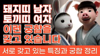 돼지띠 남자 토끼띠 여자 궁합 총정리