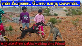 கருப்பன்- கன்னி நாய்க்குட்டியின் புதிய நண்பன் | Kanni puppy's new friend #karuppan #kannidog