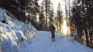 Hohe Veitsch Skitour über den Goassteig