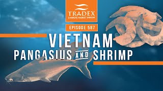 3MMI -  Vietnam Pangasius \u0026 Shrimp Update: Exports on the Rise