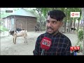 রাজবাড়ীর সবচেয়ে বড় পাঁঠার খামার মফিদুলের rajbari goat farm somoy tv