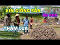 Thế Nhân || Nhận Được Sự Hỗ Trợ Số Lượng Lớn Giống Sắn Ngọt Từ Nông Trại Chú Đông Paulo