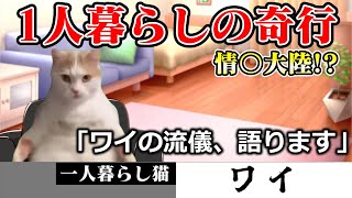 一人寂しいから勝手に密着取材受けてみたよ #猫ミーム #猫マニア