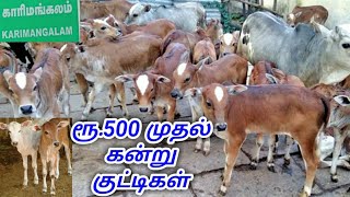 ரூ.500 முதல் பால் மறவாத பச்சிலம் கன்று குட்டிகளின் சந்தை / Small Cow Just 500₹ Ruppes Only