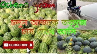 Tormuj.Bangla vlog video.Ochena gram