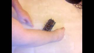 WFB Advanced Tutorial: Reforms