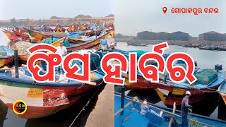 ଗୋପାଳପୁର ବନ୍ଦର ପାଖରେ ଥିବା ଫିସ ହାର୍ବର#berhampur #berhampurtour #odiaconnect