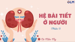 Hệ bài tiết ở người (phần 2) - Khoa học tự nhiên 8 - OLM.VN