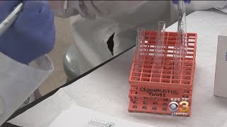 Willow Grove Forensic Lab Guiding Students Through Mentorship, Hands-On Experience