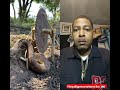 Creative Snake Trap!!(MustWatch) #snake #nature #reptiles #handtrap #heydigemnetworks #digem