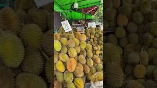 Di tempatku lagi banjir durian guys