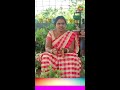 chamanthi plant caring tips shorts flower plant care tips ach gardening channel