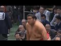 大相撲三月場所七日目　白鷹山（2024 03 16）