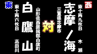 大相撲三月場所七日目　白鷹山（2024-03-16）