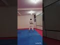 kobudo kata nunchakos kubagawa no nunchakos