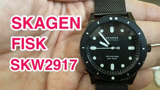 SKAGEN FISK SKW2917 スカーゲン