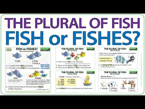 Does fish have a plural form?