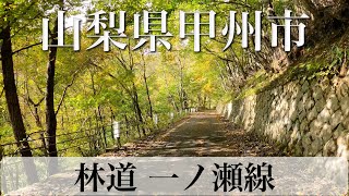 山梨県甲州市 林道 一ノ瀬線