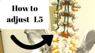 How to adjust the L5 vertebra (GONSTEAD)