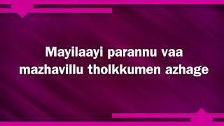 Mayilaayi Parannu Vaa Karaoke song with English Lyrics