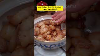 Simple Homemade Braised Pork