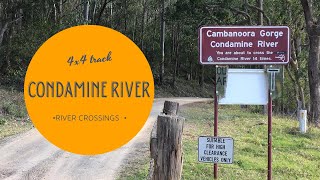 Condamine River Track QLD - July 2020