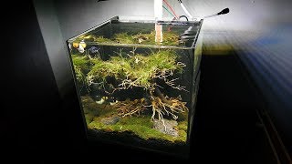 Aquarium model 6 - How to make an Cubic 30 aquarium tank - [Piece of Paper]