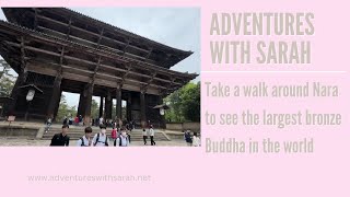 Adventures in Japan: Shrine of Nara, plus Nara's Most Famous Residents!