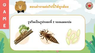 วัฏจักรชีวิตสัตว์ l วิทยาศาสตร์ ป.3