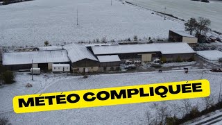 notre quotidien d'éleveurs 28.24: MÉTÉO compliquée