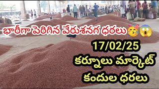 17/02/2025 కర్నూలు మార్కెట్ ధరలు today kurnool market prices and rates ulli onions kandulu redgram