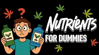 🌱 The Ultimate Cannabis Fertilizer Guide 💡 Master NPK, Nutrients & Grow Like a Pro in 10 Minutes 🔥
