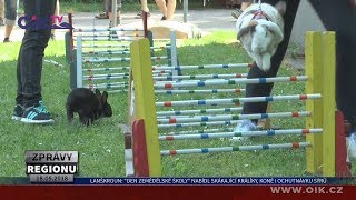 Lanškroun: “Den zemědělské školy” nabídl skákající králíky, koně i ochutnávku sýrů