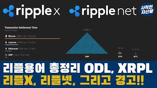 리플 ODL, XRPL 그리고 리플넷과 리플X