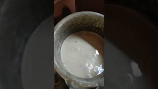 கிளிஞ்சல் சிப்பி சுண்ணம் செய்முறை