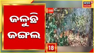 Forest Fire News | Puri | ଜଳୁଛି କୋଣାର୍କ ଜଙ୍ଗଲ ,ନିଆଁ ଲିଭାଇବାକୁ ନାକେଦମ ଅଗ୍ନିଶମ ବାହିନୀ