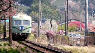 大井川鉄道　旧南海