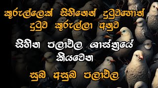 කුරුල්ලන් සිහිනෙන් දුටුවිට සිහින පලාඵලශාස්ත්‍රයේ කියවෙන සුබ අසුබ පලාඵල/ sihina palapala