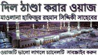 bangla waz hafizur rahman siddiki দিল ঠাণ্ডা করার ওয়াজ