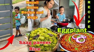 Abhinav school जान full ready भएर school bus wait गर्दै🥰lunch box recipe saag paneer rice/eggplant 🙏